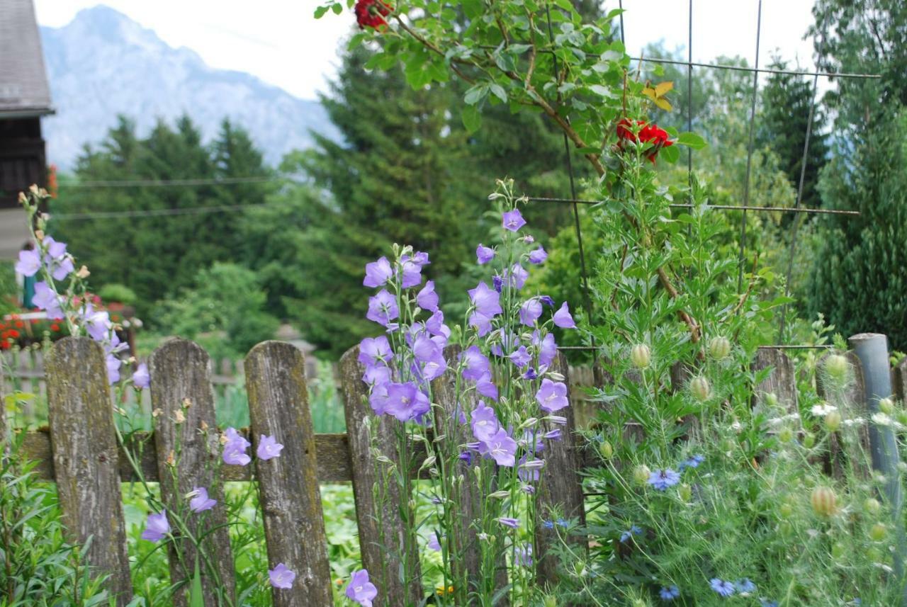 Bauernhof "Unteres Feld" Villa อัลท์มุนสเตอร์ ภายนอก รูปภาพ